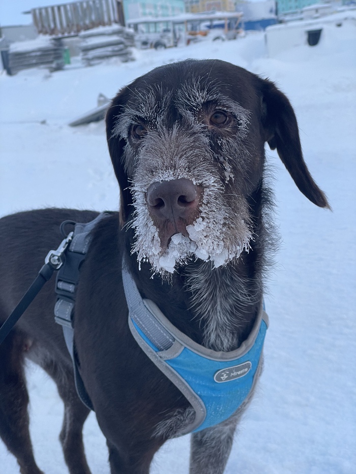 ��� ������