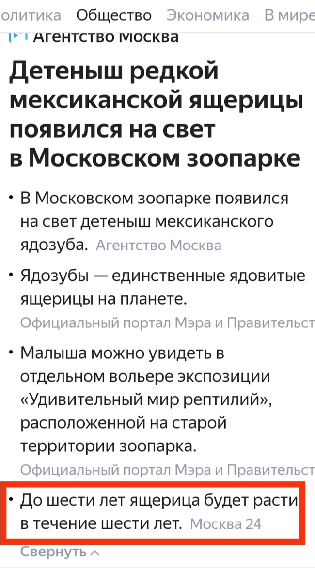 L-logic - Zoo, Lizard, Moscow 24, Media headlines, Screenshot