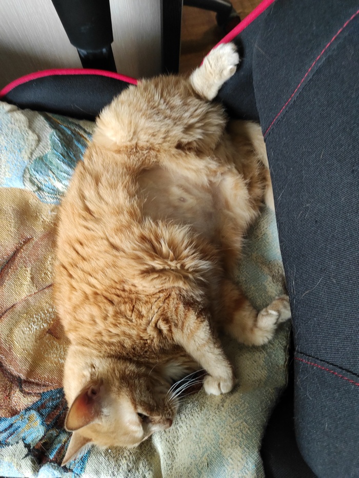 Бритая киска