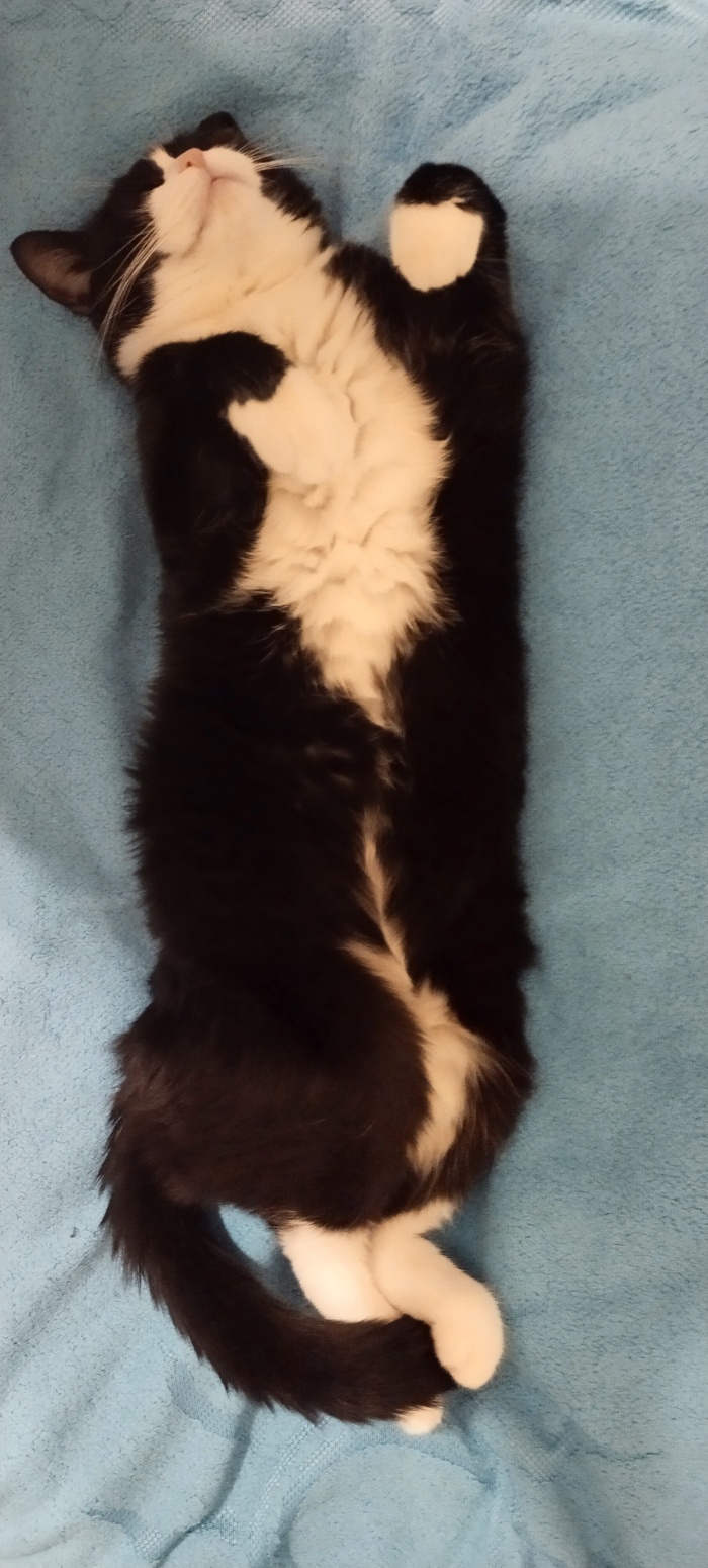 Мир вашему дому. И спокойного сна...