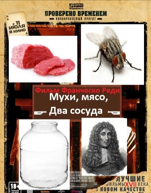 Flies, meat, two vessels - Humor, Biology