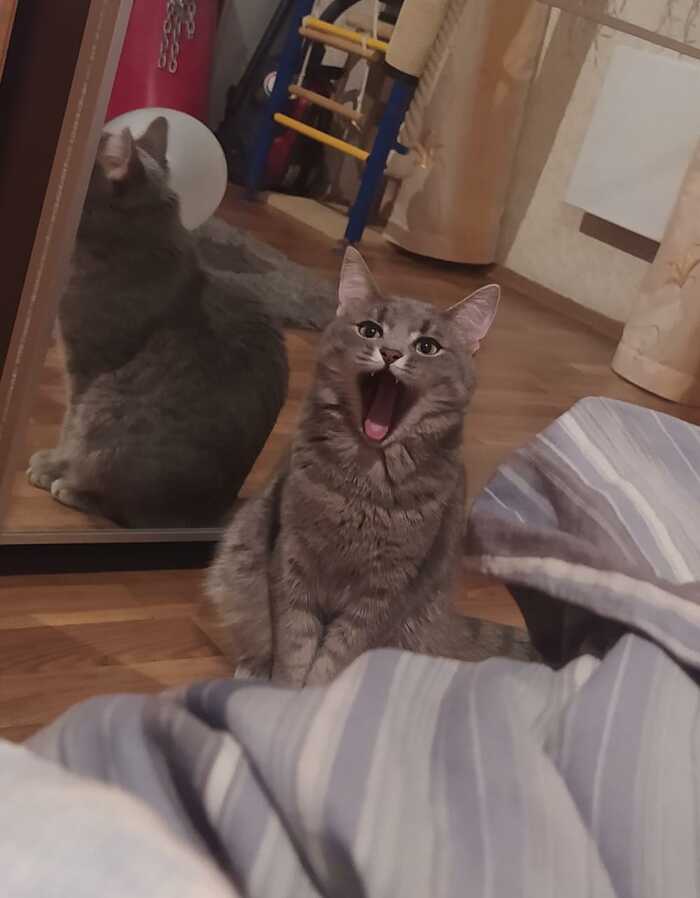 ��� ��� ��������...