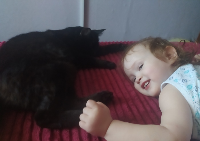 Мои котятки