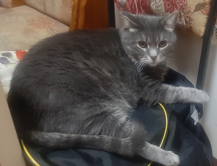 ����� � �����