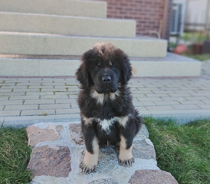 Скоро 3 месяца!