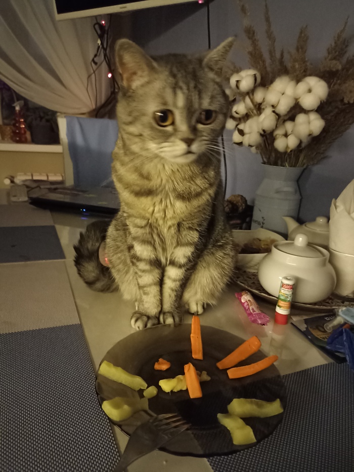 ����� �� ���� ����������! )))�