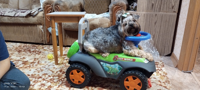 ��� �������