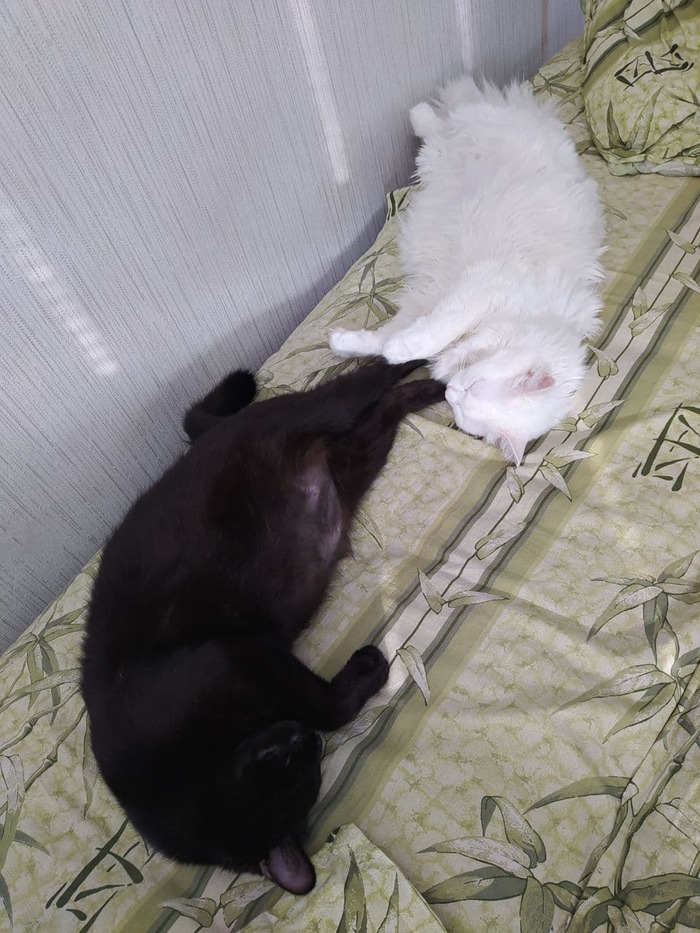 �� � � ����� � ������ �����������