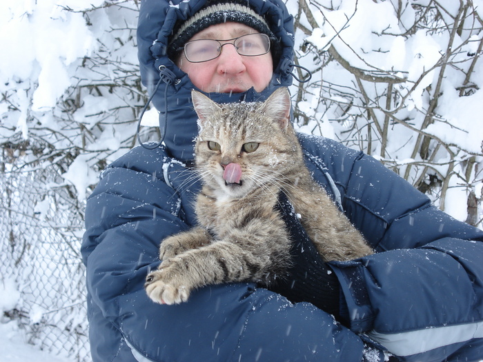 На волне про котиков