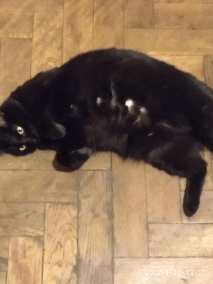 ������ ������