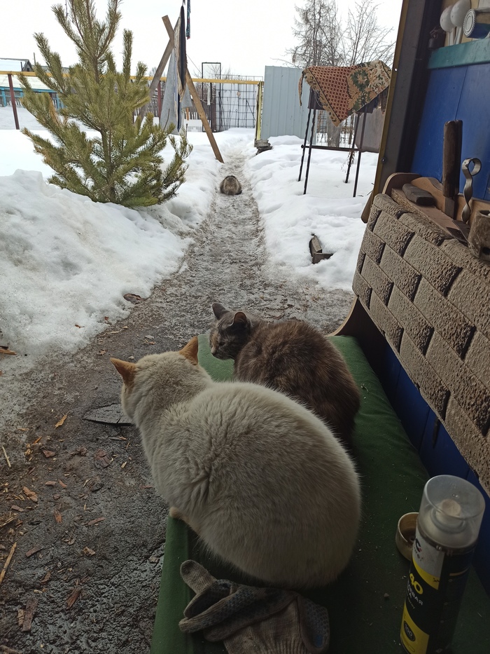 "��� ���� �� ������? �������!"