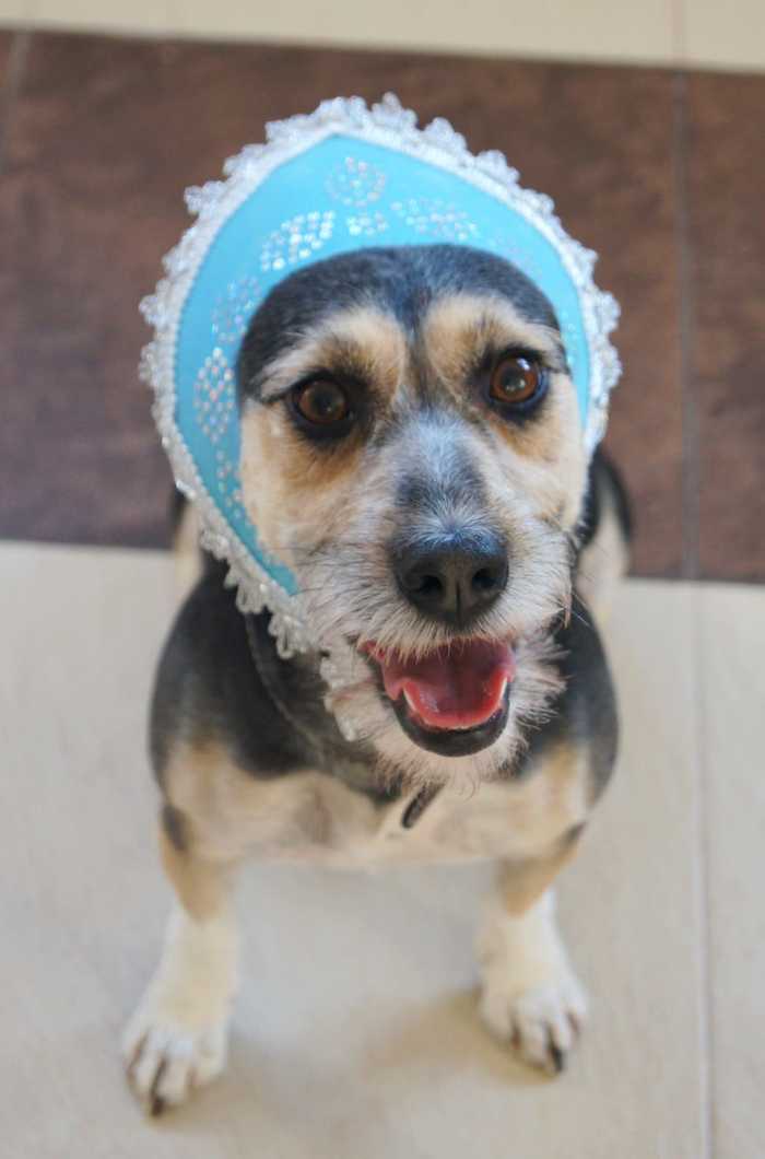 ���� ���, ������� �������