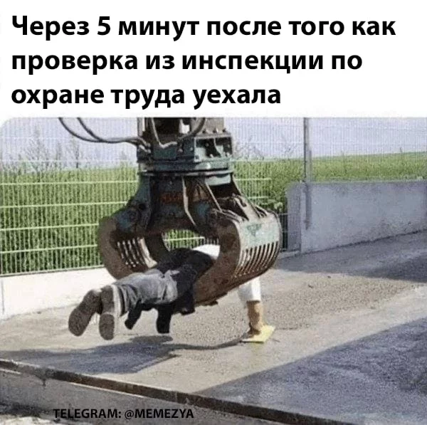 1646050350143073479.webp