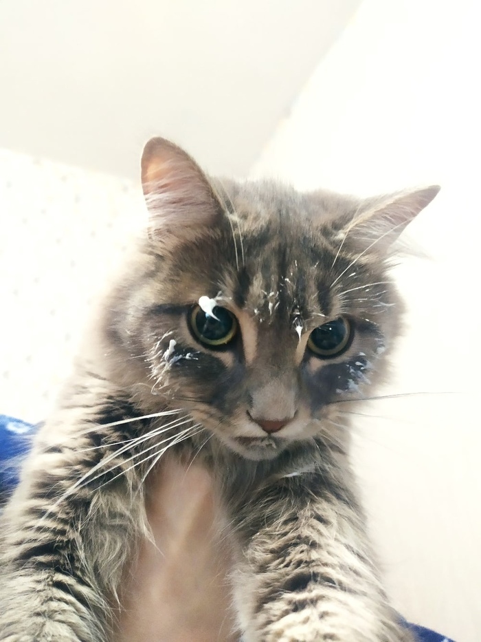 ������ �������� ���������