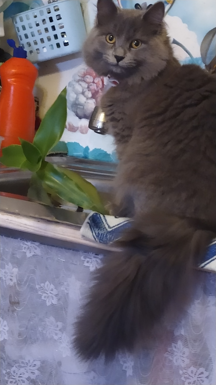 А можно спросить?