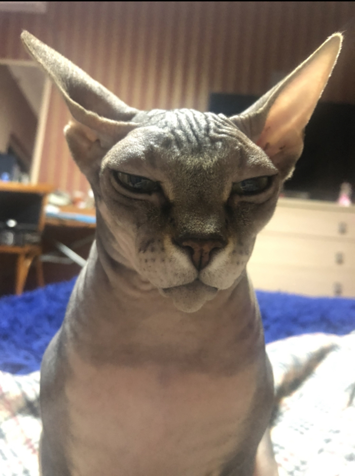        ) , , ,   , , 