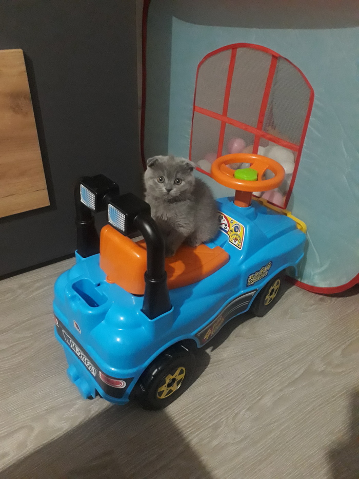 ��� ���������, "�� �����..." � ��� � ���� ��������