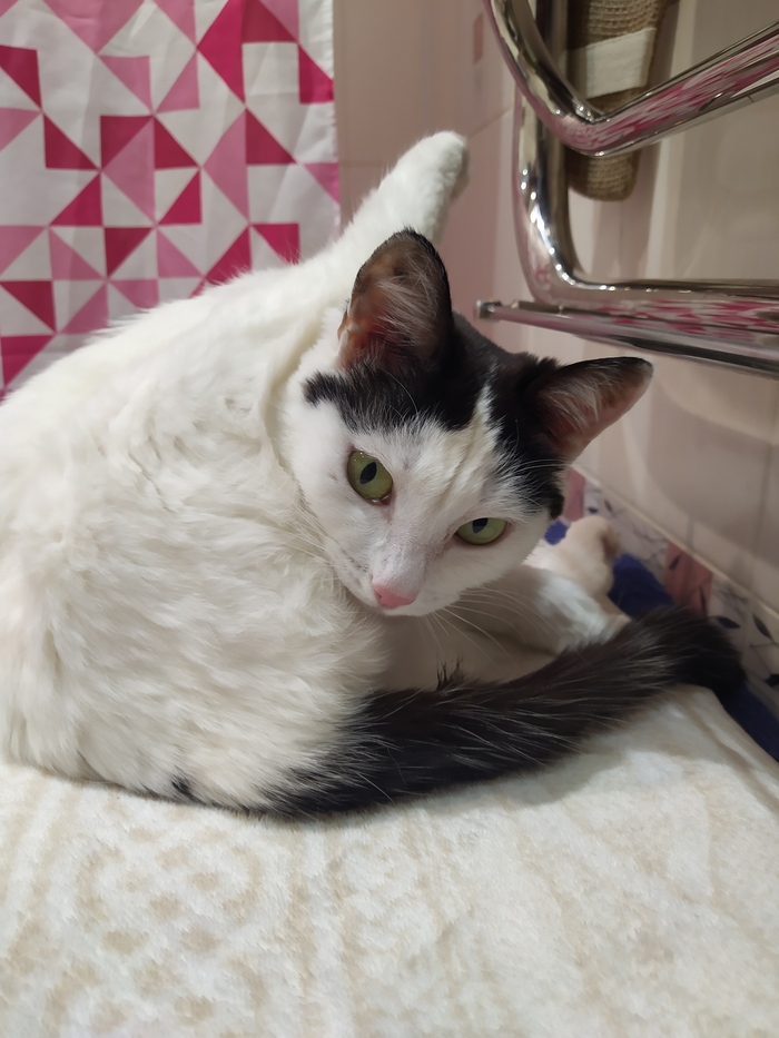 � � ������ �������!