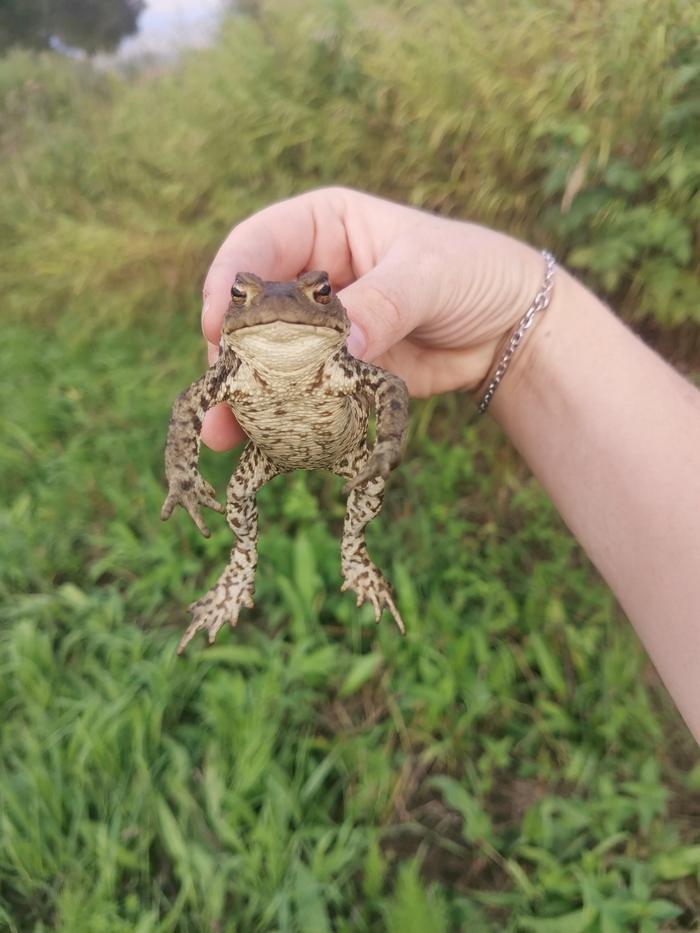 ����� �� ���� �������!�