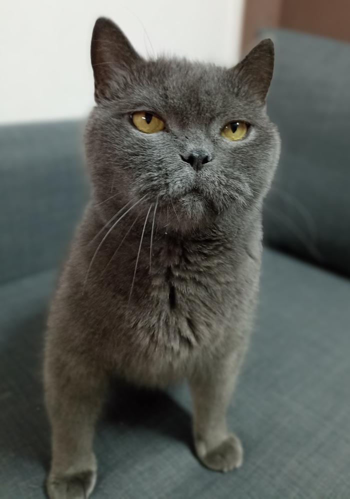 ��� ���� � ������� ������.. )