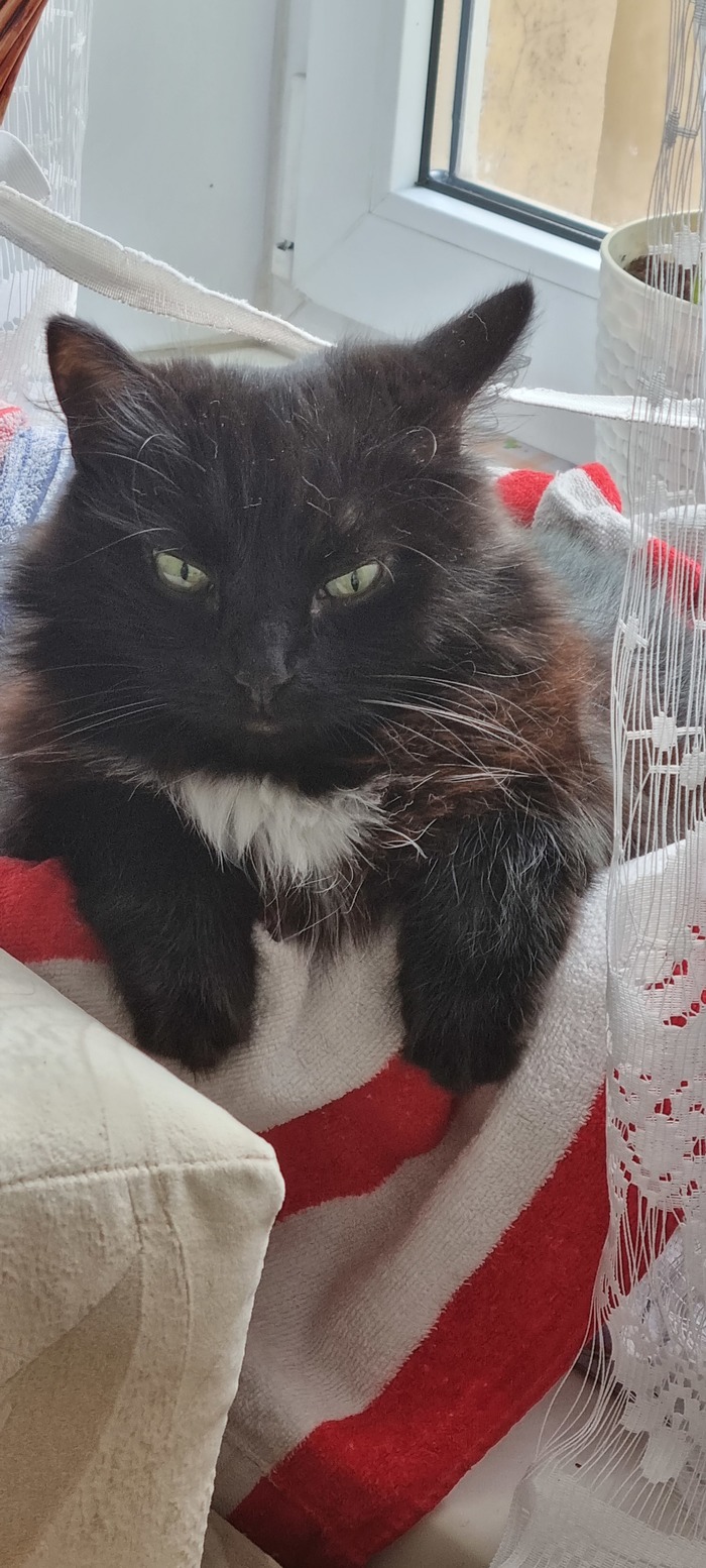 ����� �� ���� "�� ������� ���� �� ���������� "