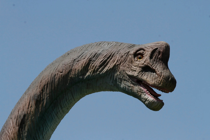 Каждый кислородный цикл на Земле заканчивался массовым вымиранием