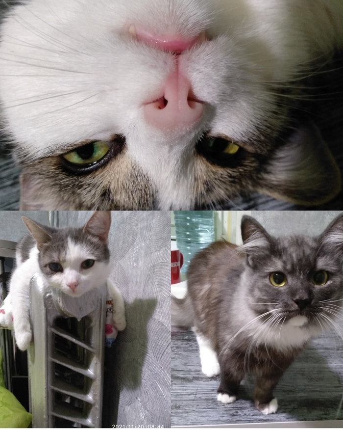 Присоединяюсь)))