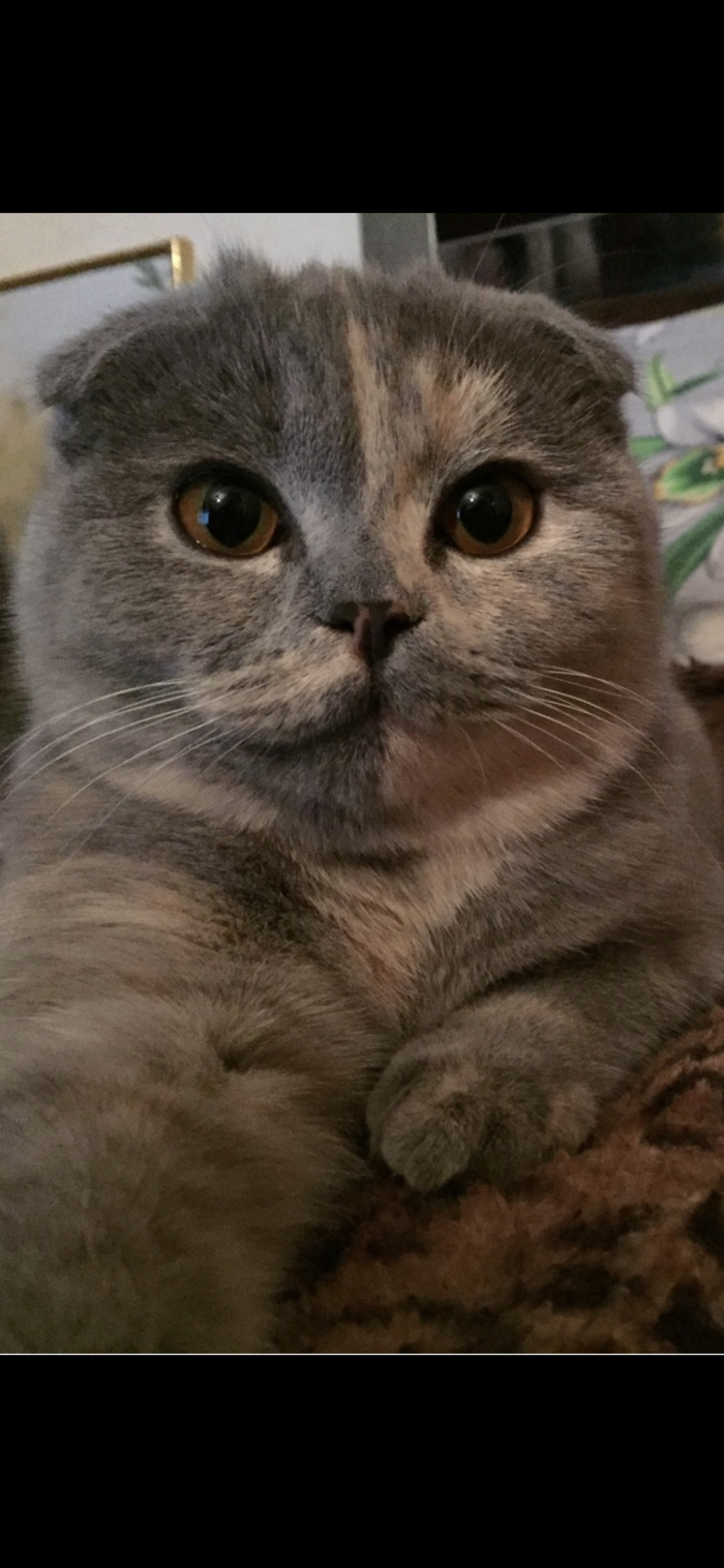 ������ �����-������