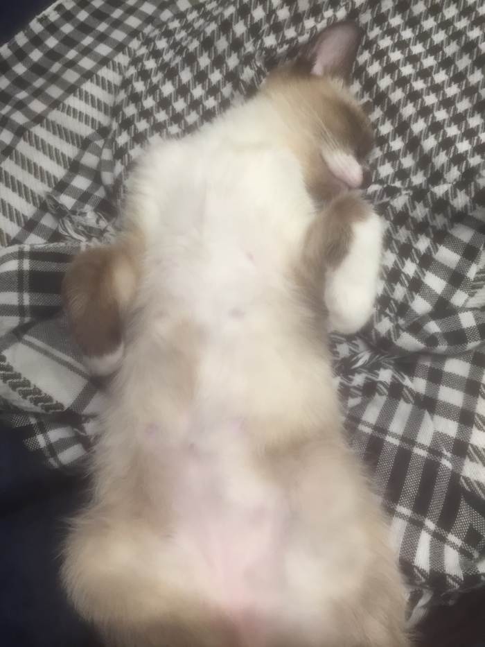       -    , -, ,   , 