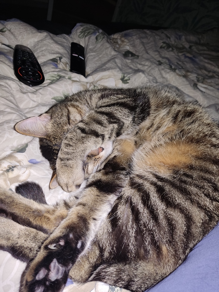 ����� �� ���� ��� ������� ���� - �� ����������