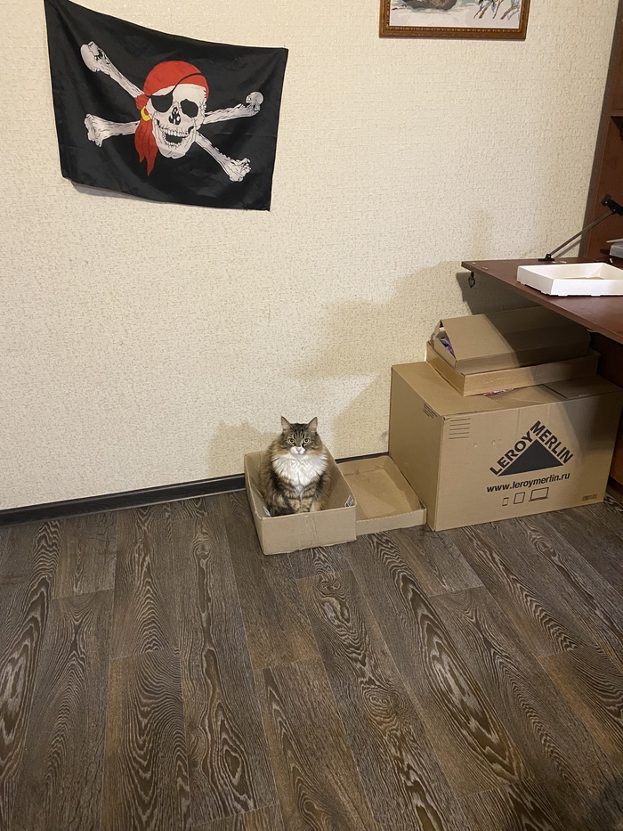   , , 