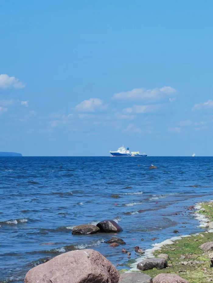 Summer on the shores of the Gulf of Finland - The photo, My, Summer, The Gulf of Finland