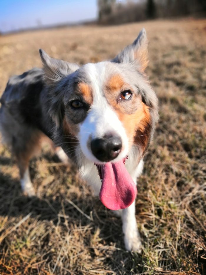 � ��� � ������� ���������!