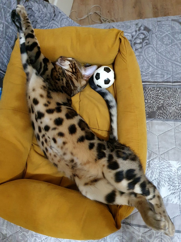    ,  ,  , ,  