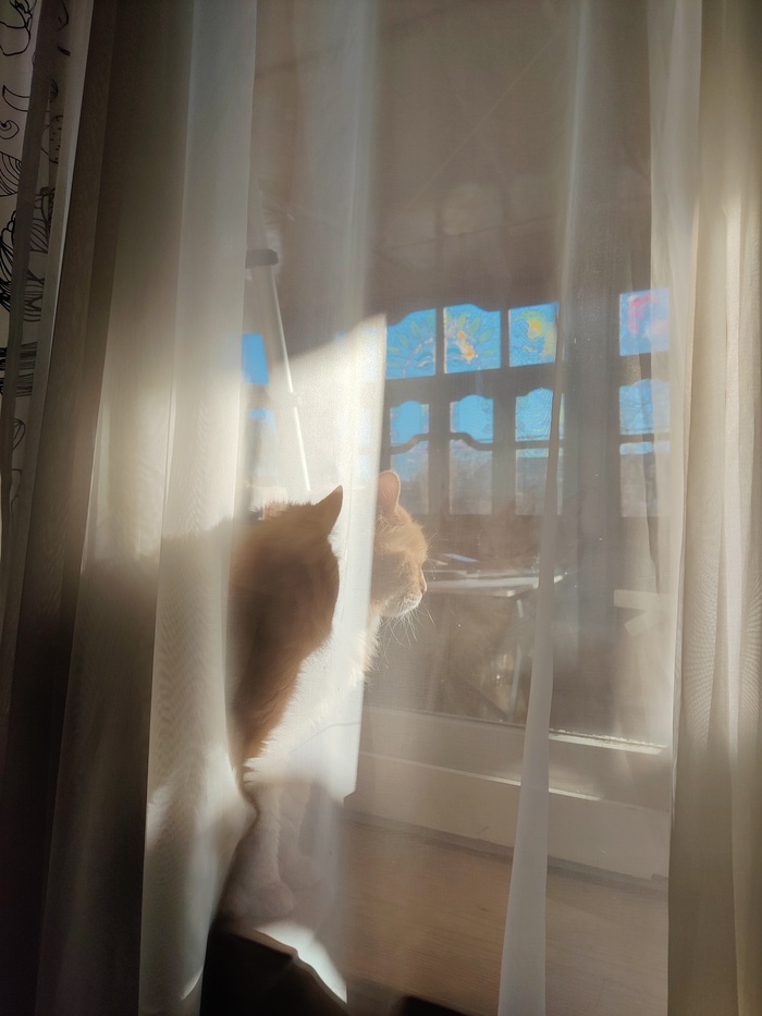 ���������� - ��� ��� ���