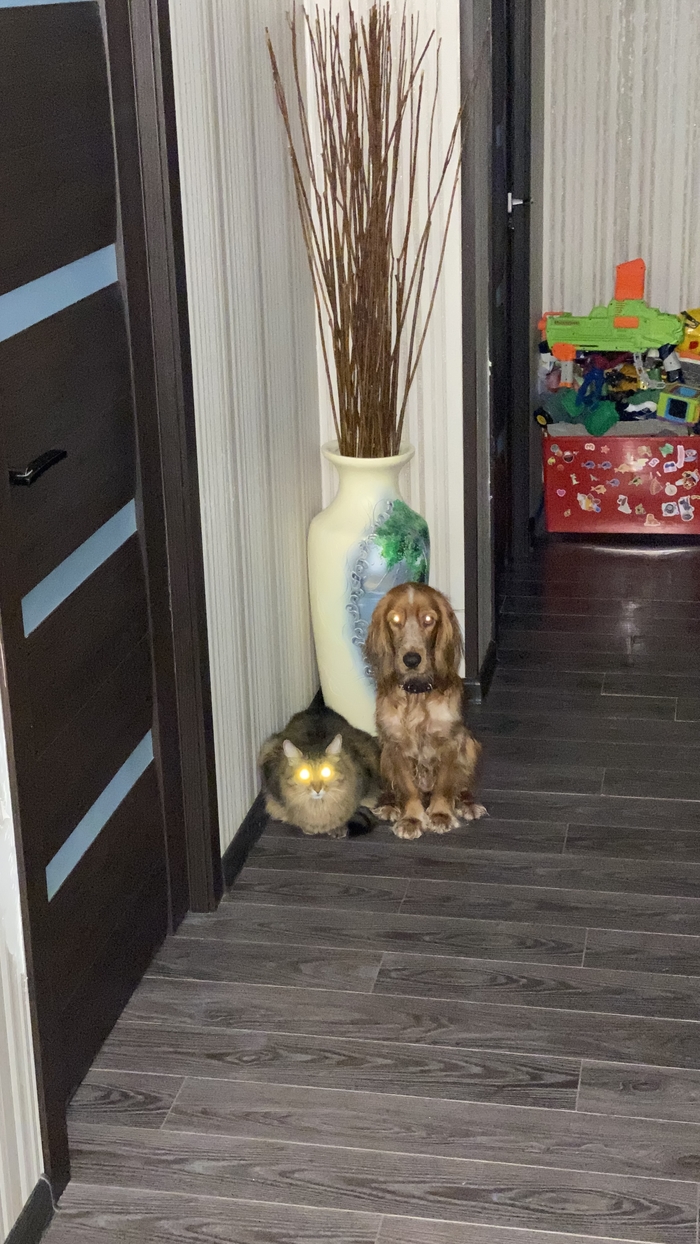 Провожают на работу каждое утро