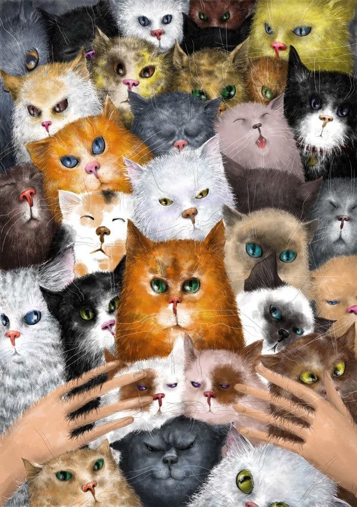 ����� �����