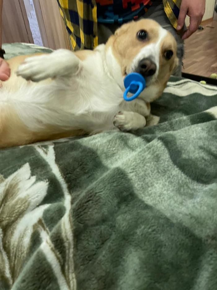 ����� �������� ���������� � ������