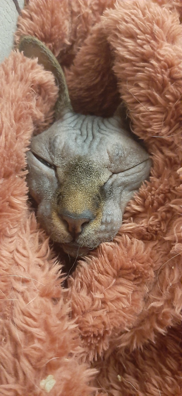 �� ����� ��� �������� ��������