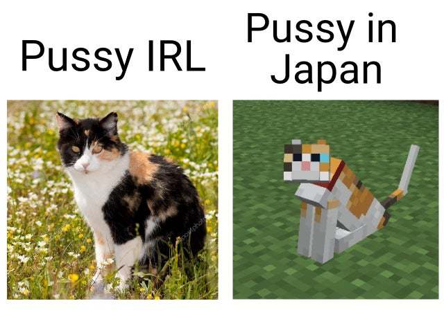 Pussy - cat, Porn, Japan, Censorship, Humor, Minecraft