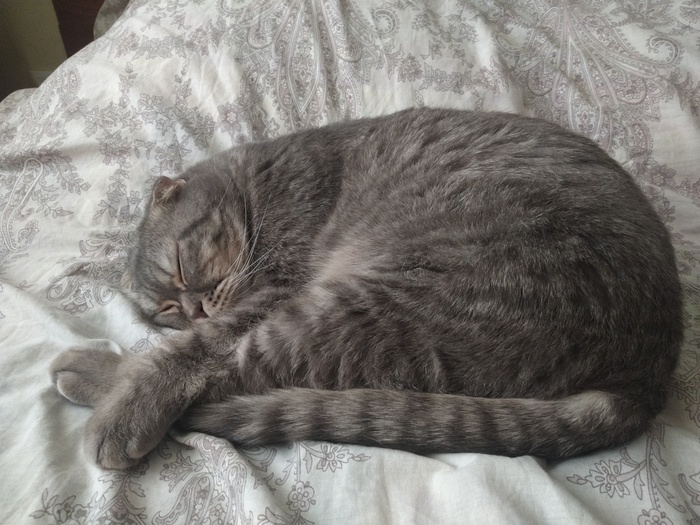 �� �����.����, ����, � �� ���������- � ����� � ����