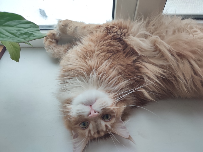 ����� ���..��