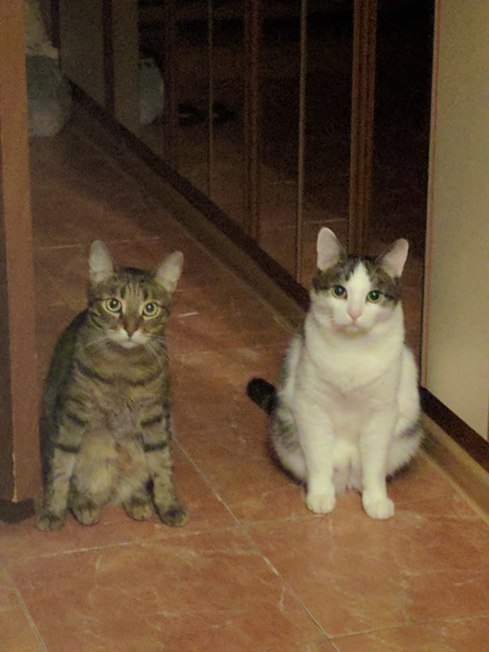 � ���� ����������! ��� ��� ����!