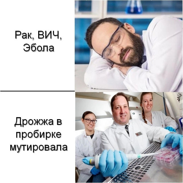 Yeast - Humor, Biology, Ebola, Research, Hiv, Cancer and oncology, Yeast, Microbiology, Memes, Repeat, Scientists, People in white coats, Pipette