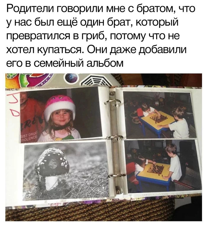 Ingenious - Mushrooms, Family, Parents and children, Savvy, Photo album, Picture with text, Repeat
