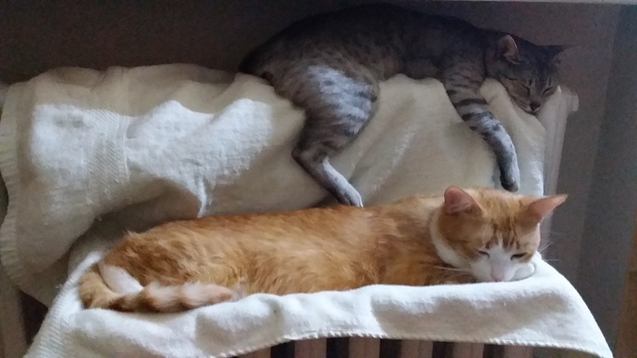 �������� �������