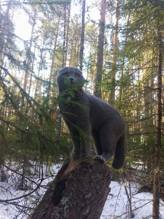 ����� �� ���� "�� ������� ���� - �� ����������"