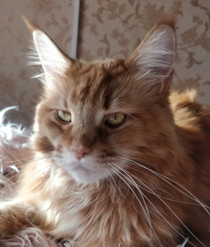 ����� �� ���� �� ������� ���� �� ����������