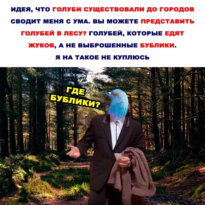 Где бублики?