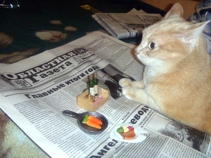 Сдаюсь! Я все же pikabuшник